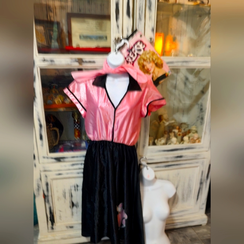 Ladies Poodle dress and wig For Sandy Halloween costume
